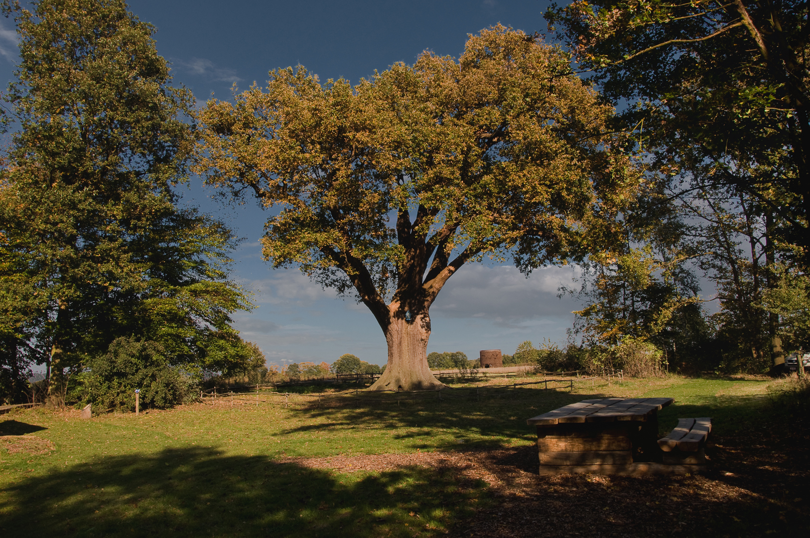 Domein Duizendjarige Eik