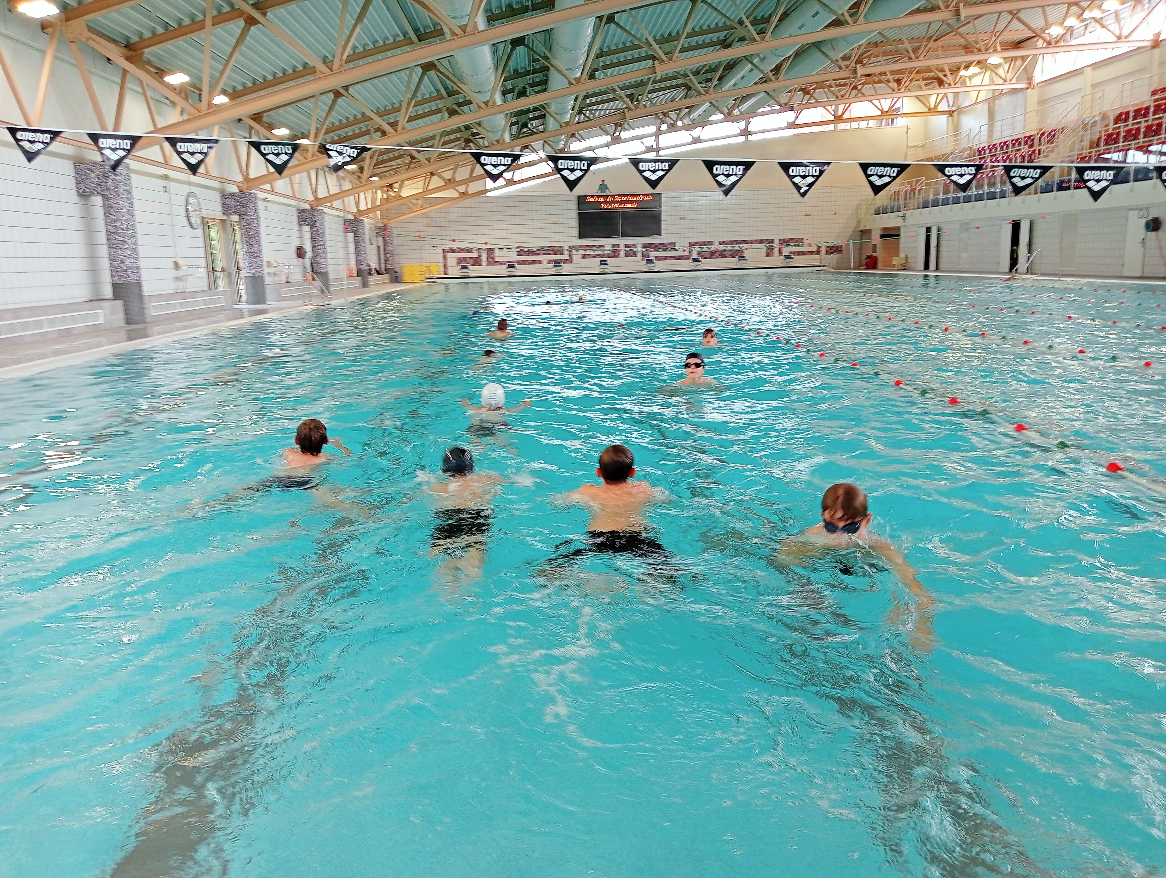 traithlon zwemmen kamp