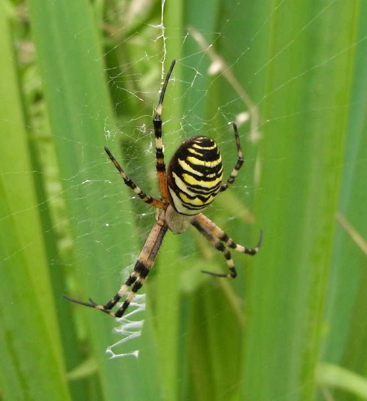 Rondleiding in het Frans