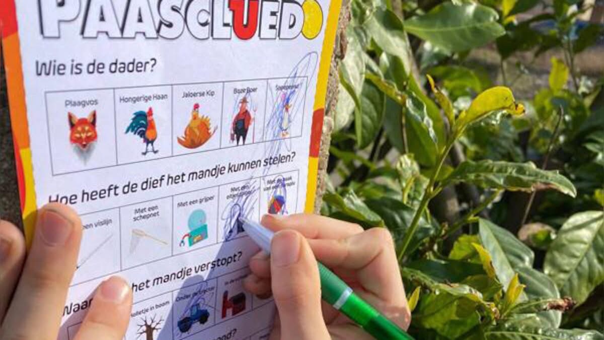 Image for gzbd activity