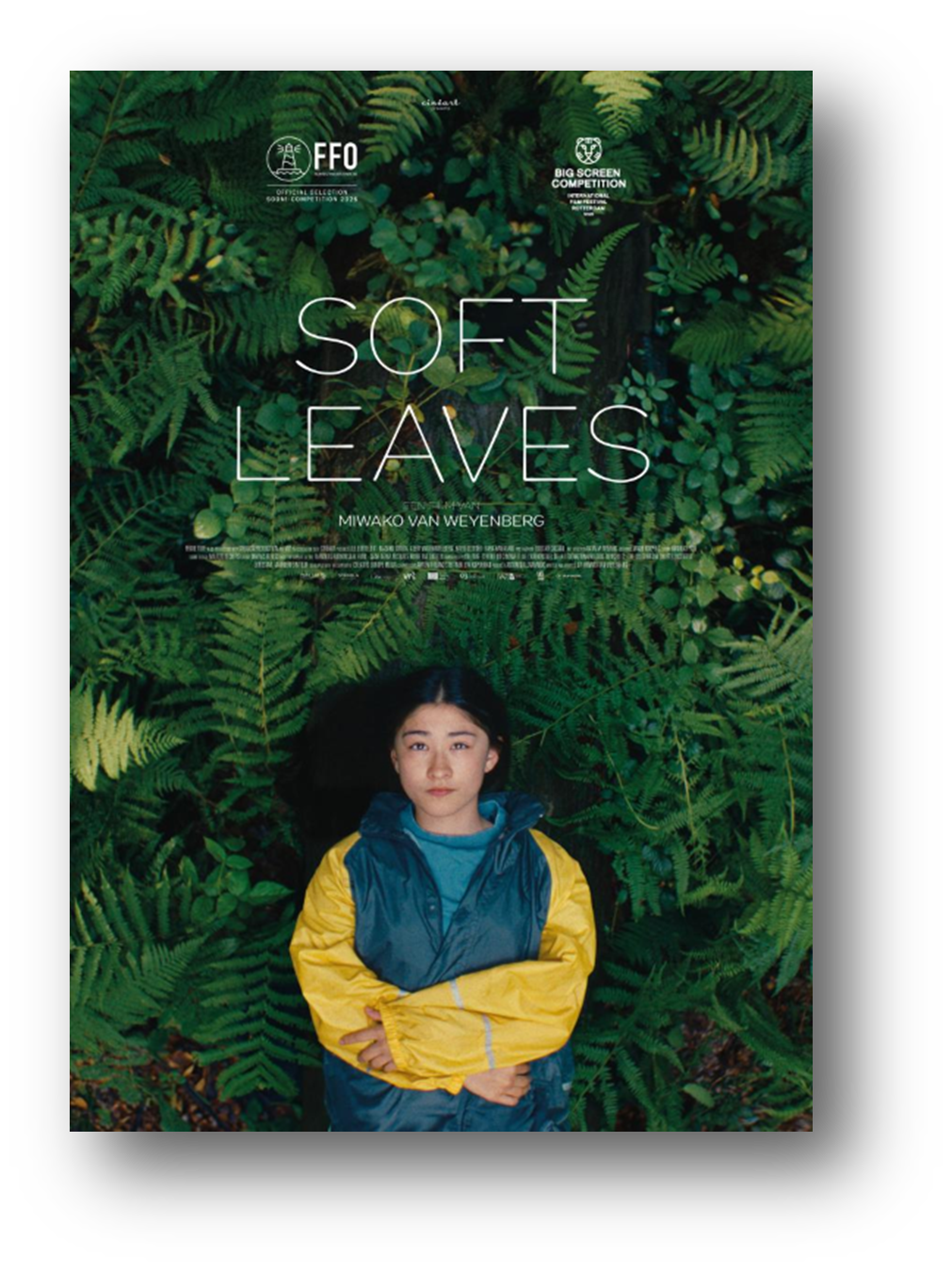 Soft Leaves