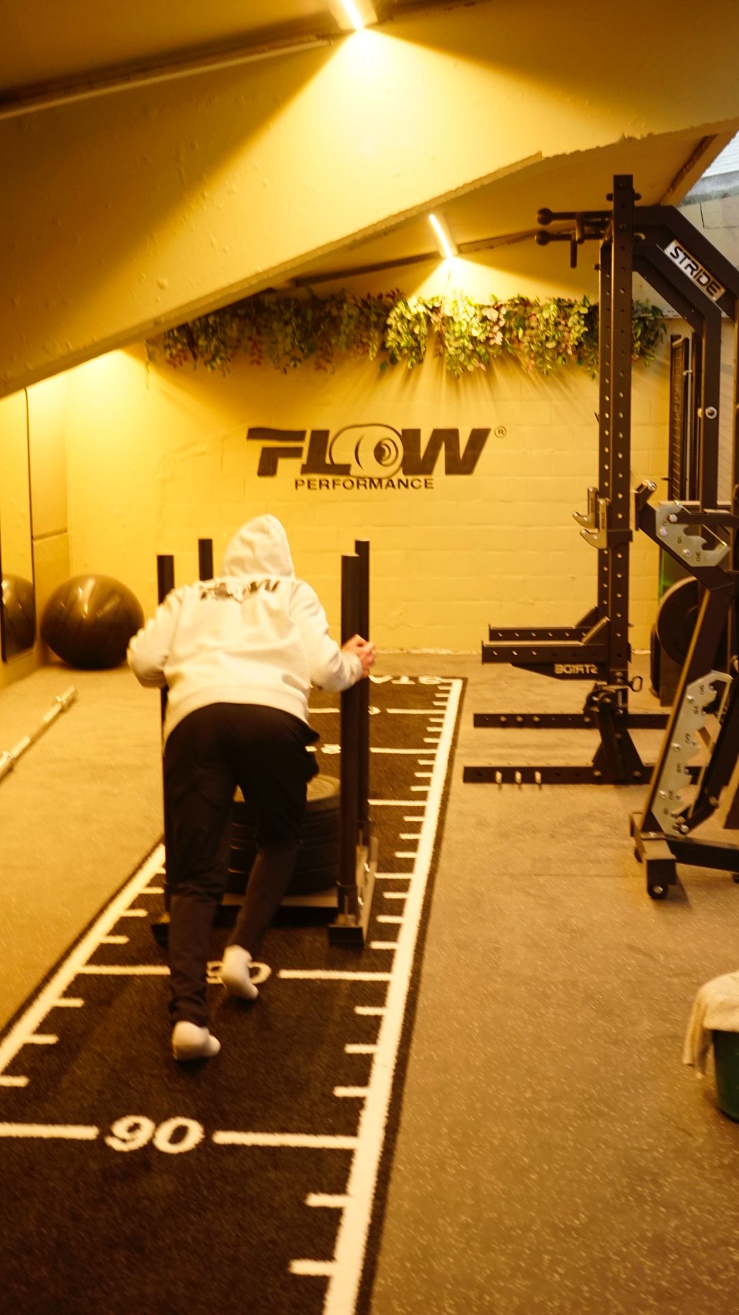 Performance training