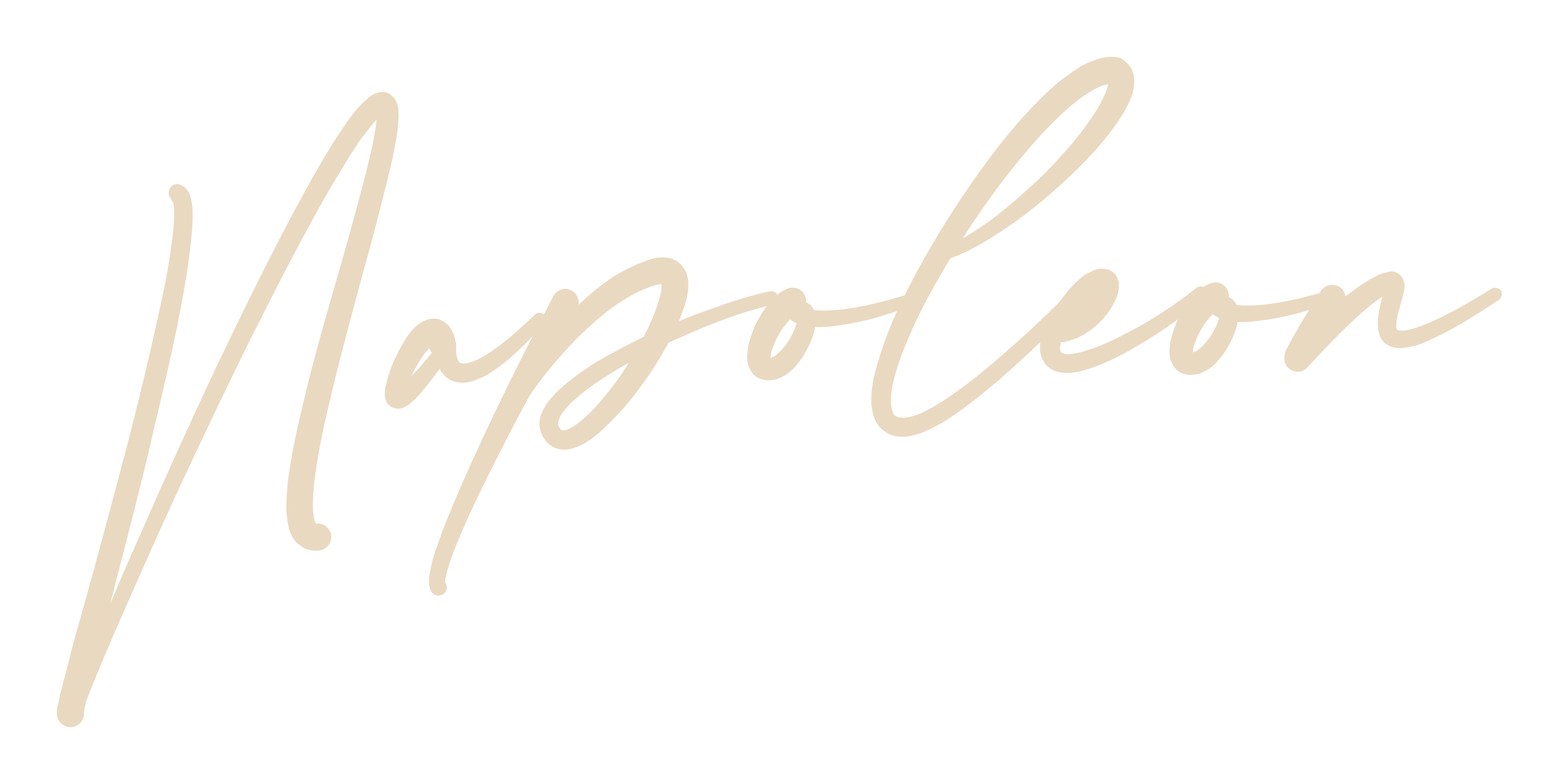 Logo Napoleon (1).png