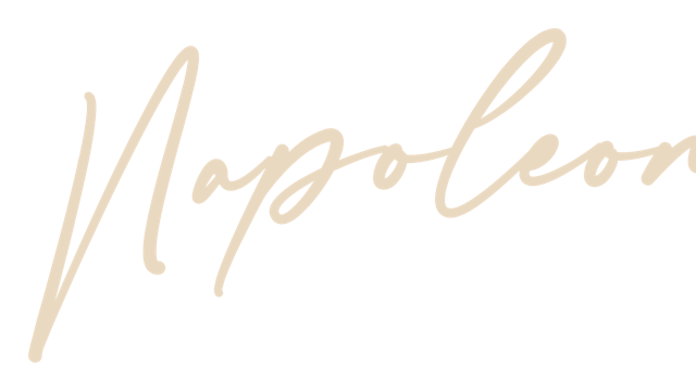 Logo Napoleon (1).png