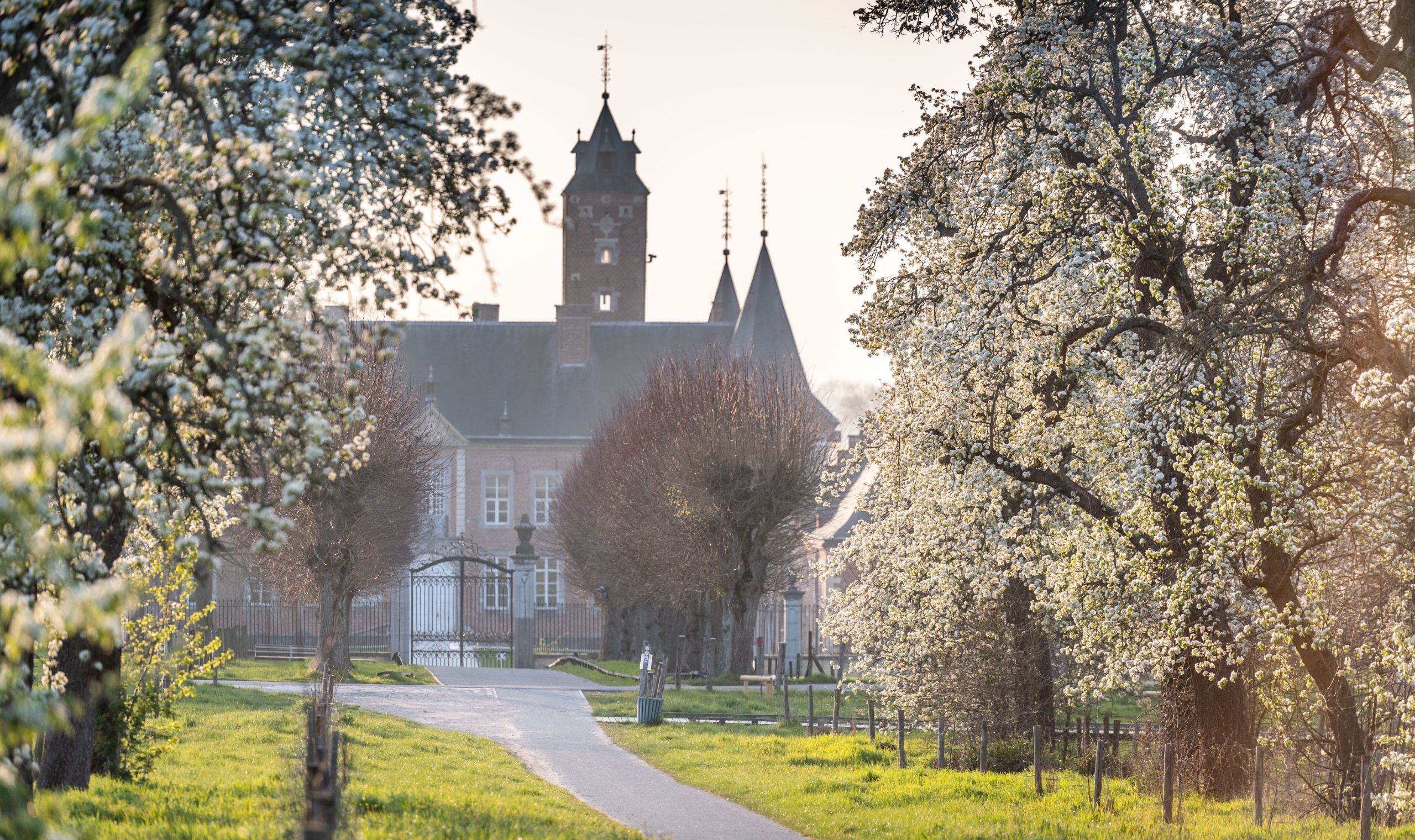 bloesems in Alden Biesen