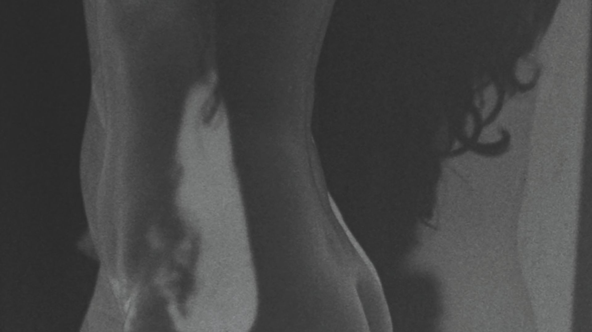 The InBetween  - Elizabeth Alderliesten