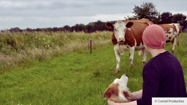 Wat als mama kanker krijgt?