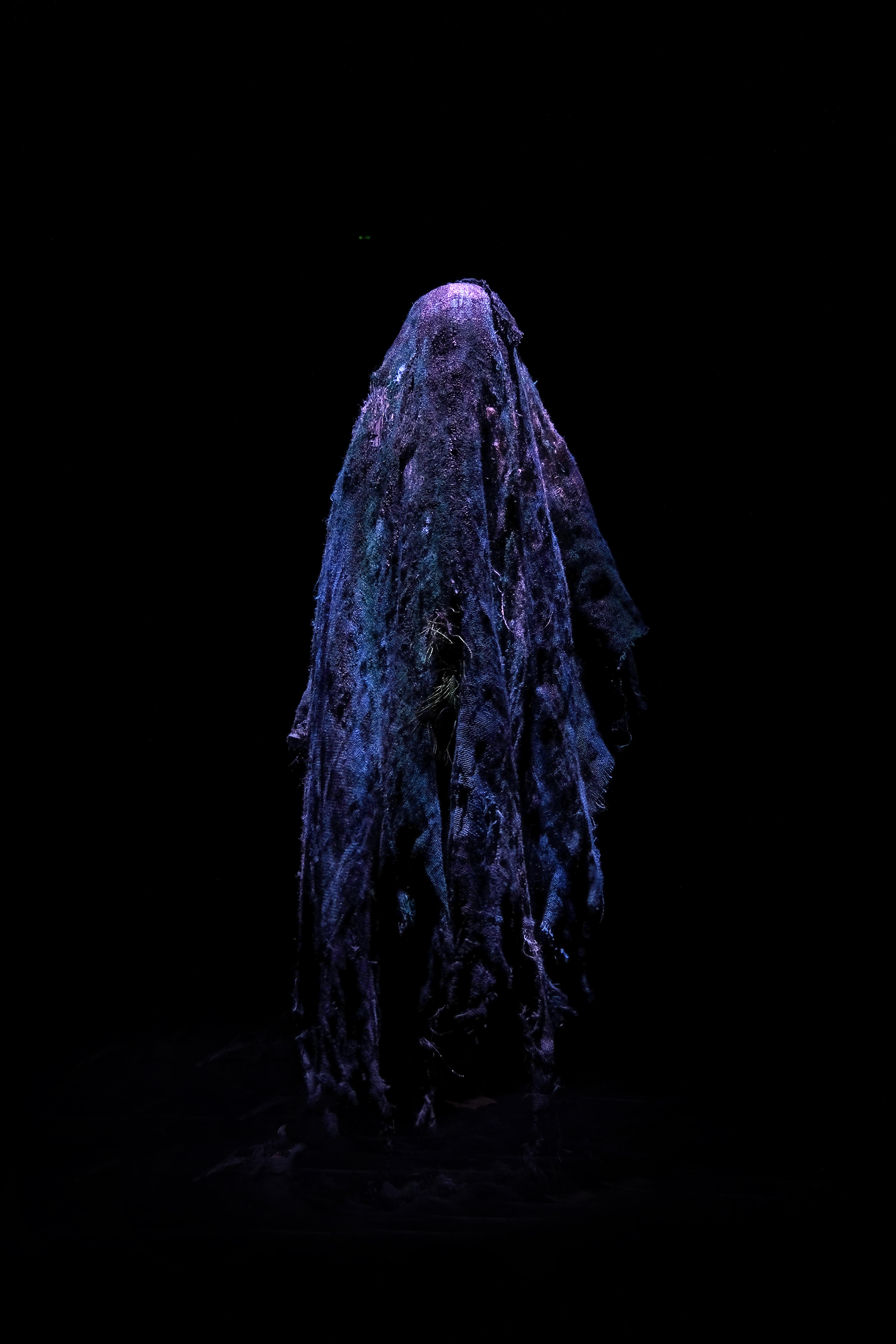 Carcan + The Magma Chamber + exUtero