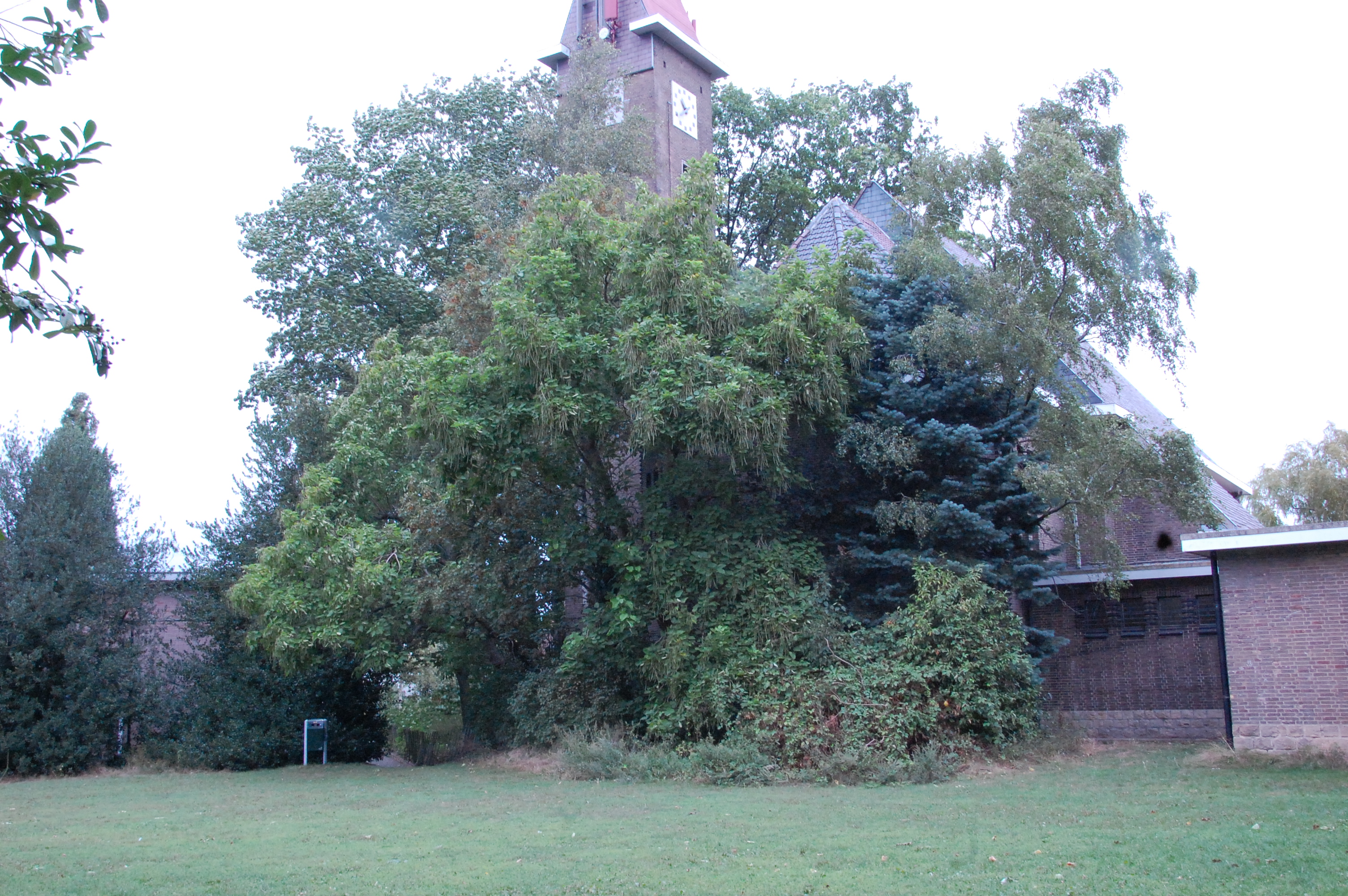 Speelterrein Patersboske