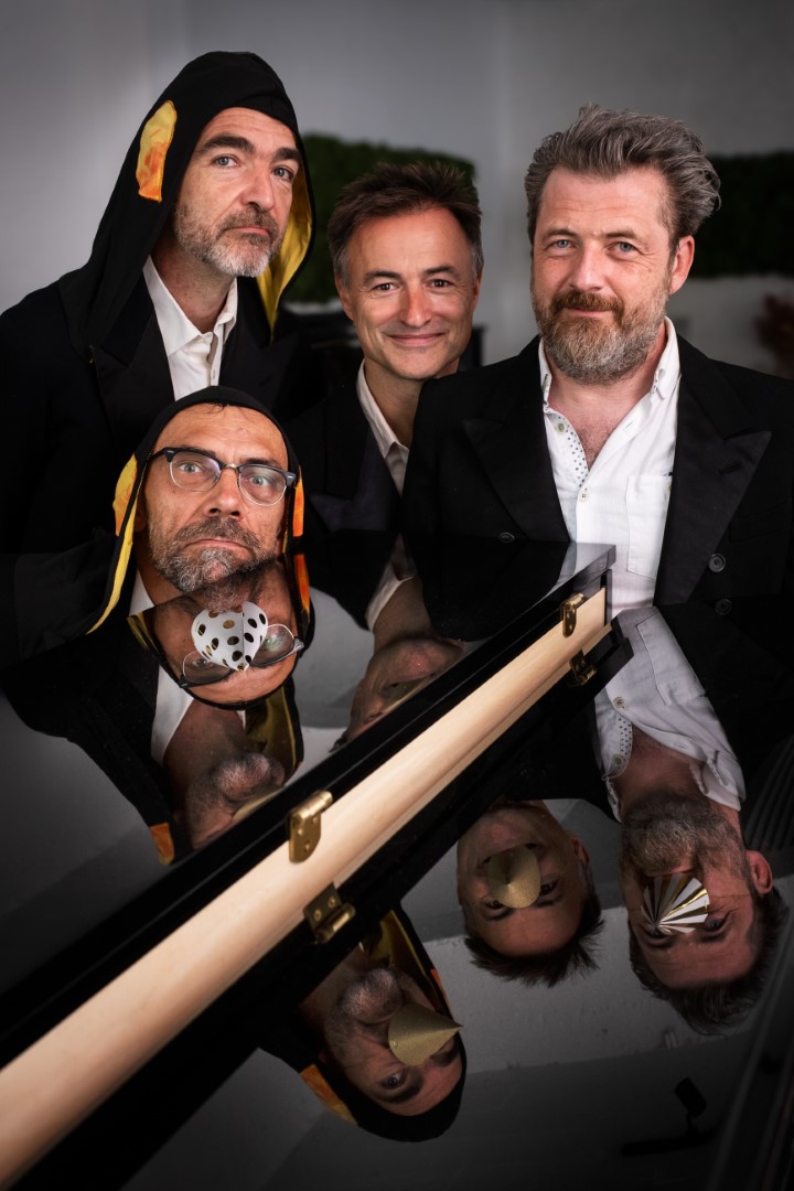 Lodewijk, de koningspinguïn