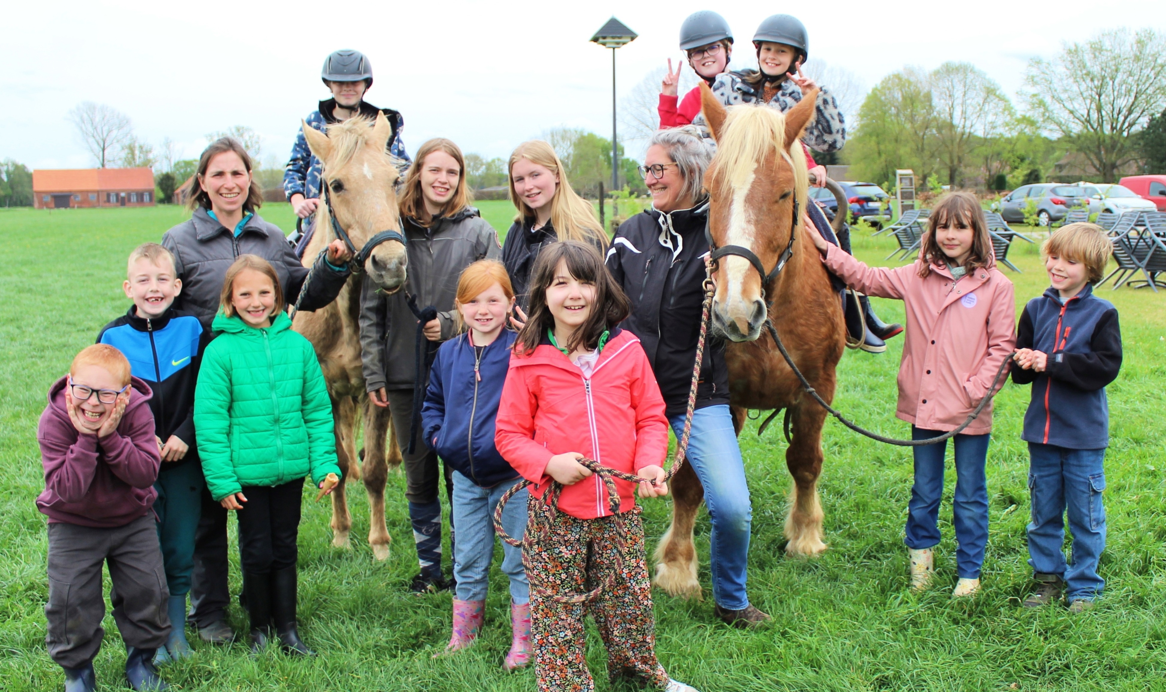 Groeikamp op de paardenboerderij