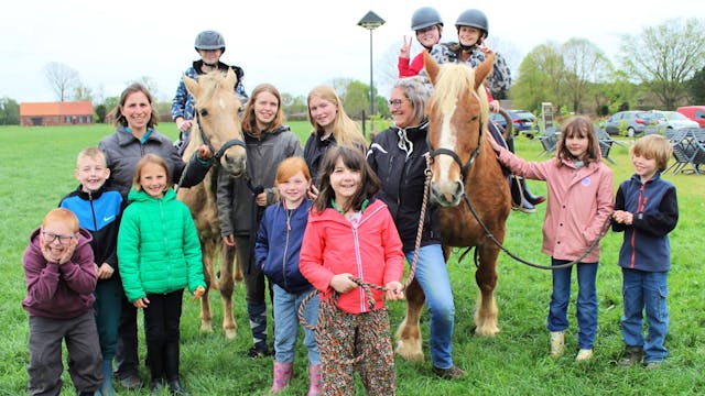 Groeikamp op de paardenboerderij