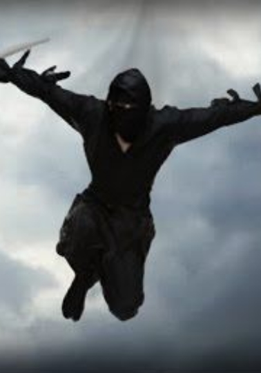 ninja