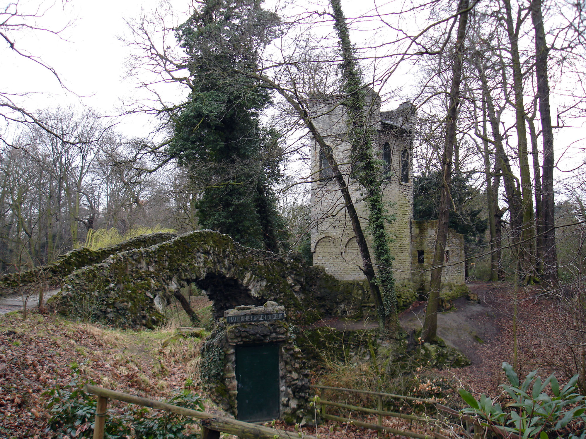 Natuurhistorisch Museum Boekenberg
