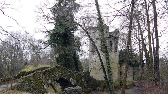 Natuurhistorisch Museum Boekenberg