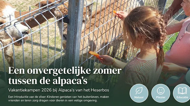 vakantiekampen op de alpaca-boerderij te Hees