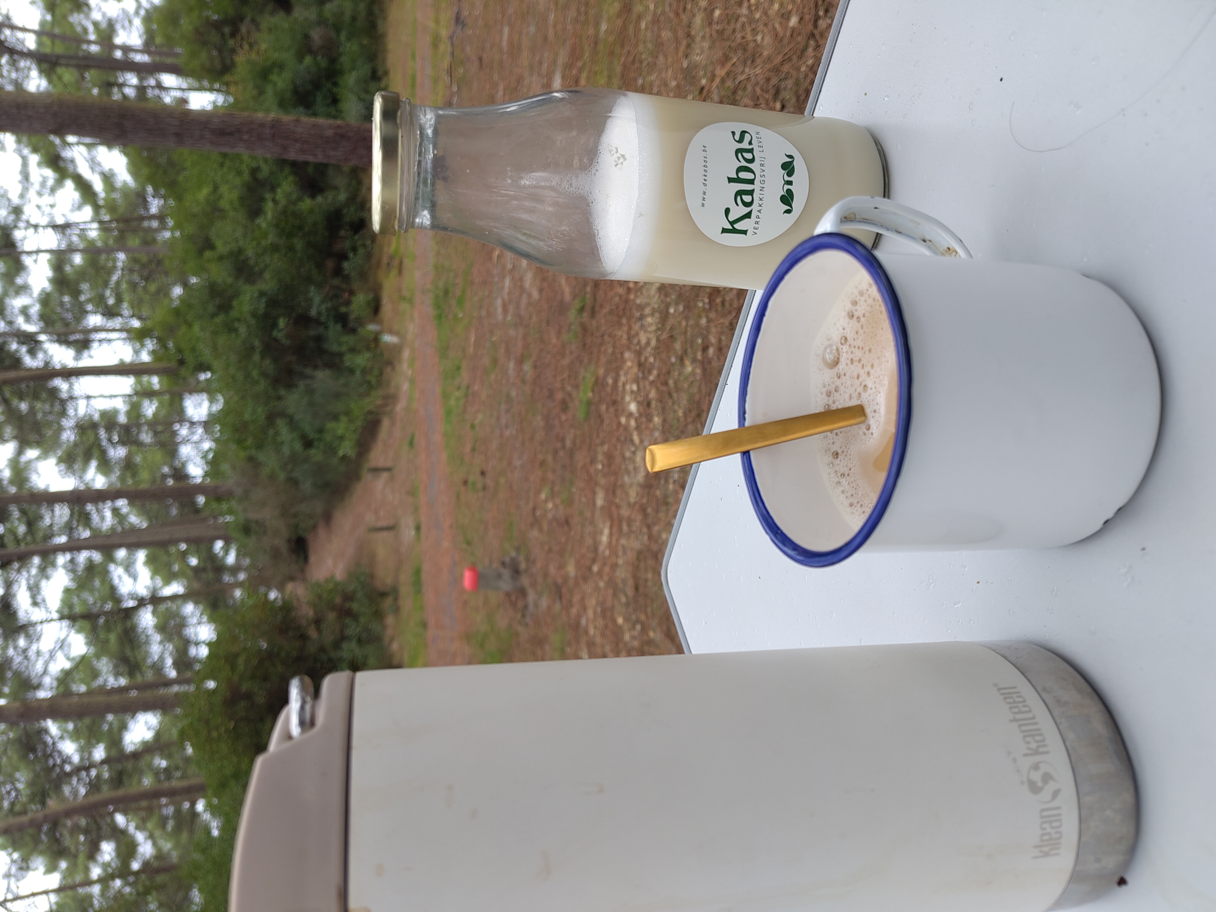 PLANTAARDIGE MELK WORKSHOP