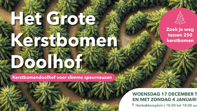 Kerstbomendoolhof