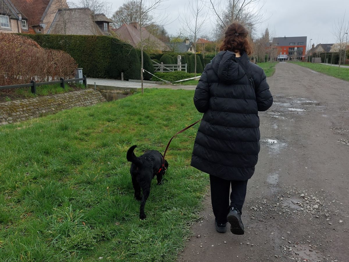 wandelen met hond aan de lijn