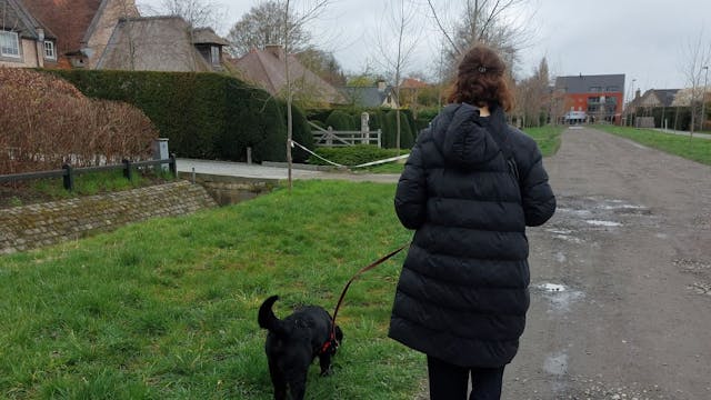 wandelen met hond aan de lijn