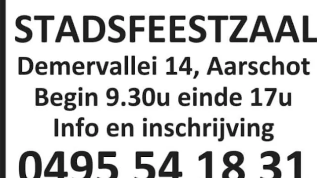 Binnen rommelmarkt Stadsfeestzaal 22/02/2026