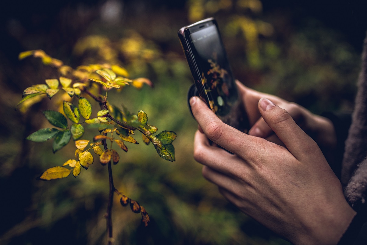 Digitale tools voor natuurliefhebbers