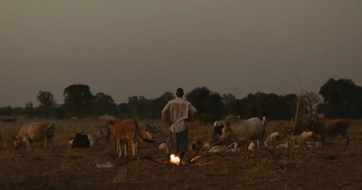 La dernière Rive (Jean-François Ravagnan)