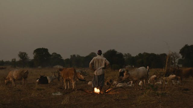 La dernière Rive (Jean-François Ravagnan)
