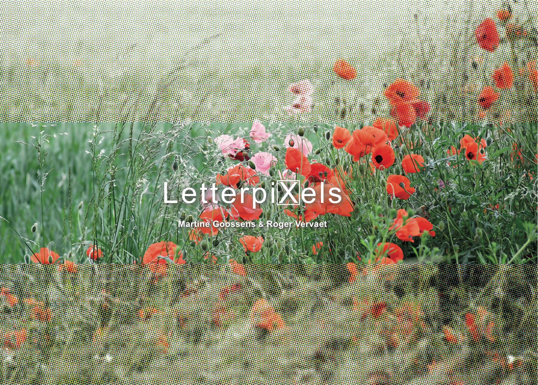 cover letterpixels.jpg
