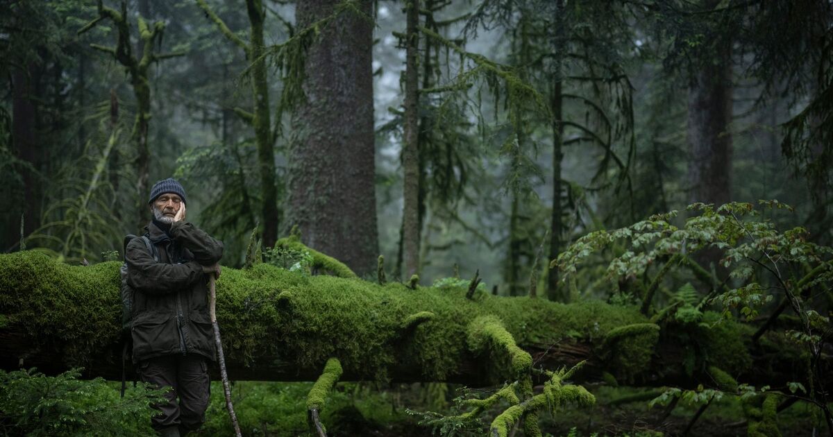 Le Chant des forêts (Vincent Munier)