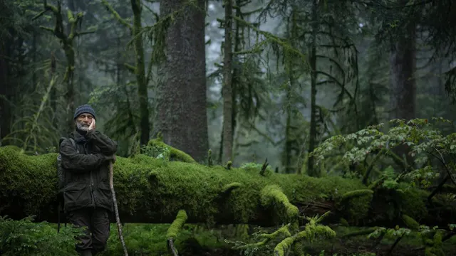 Le Chant des forêts (Vincent Munier)