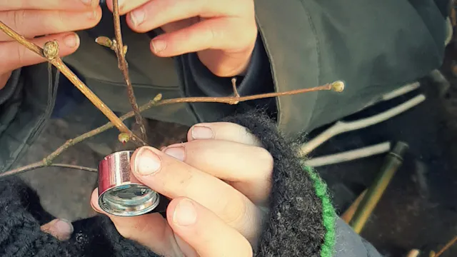 Wildplukken voor kinderen en hun ouders