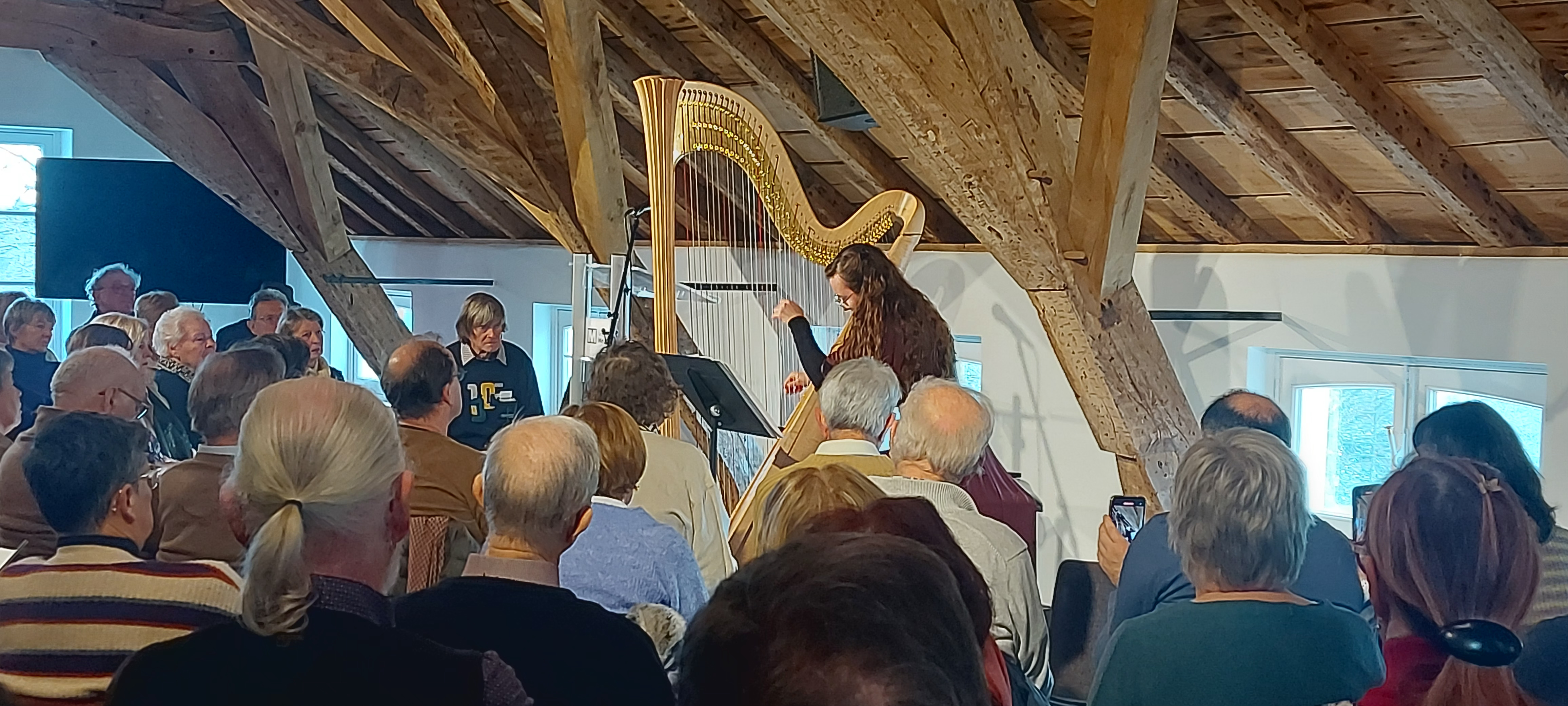 Mensen luisteren naar vrouw die harp speelt
