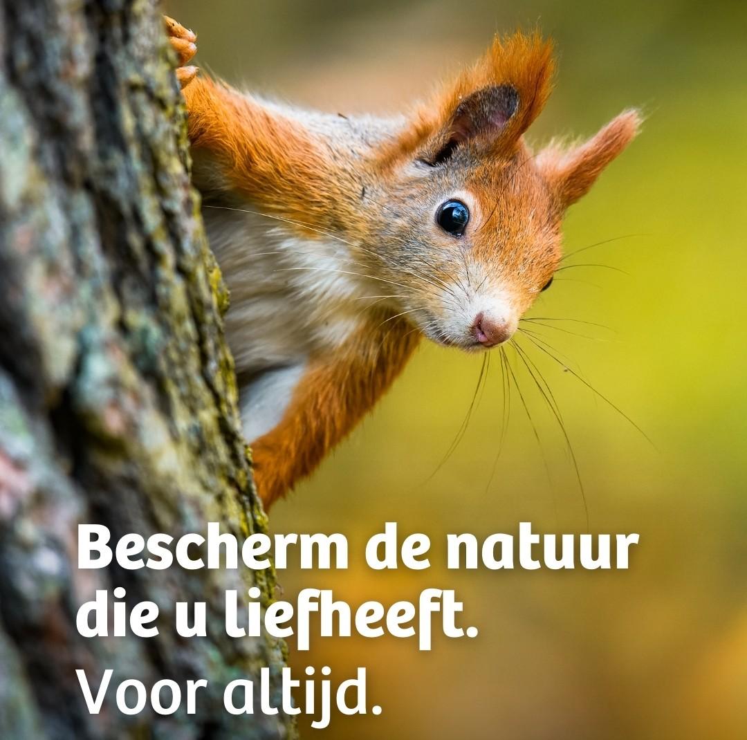 Natuurpunt