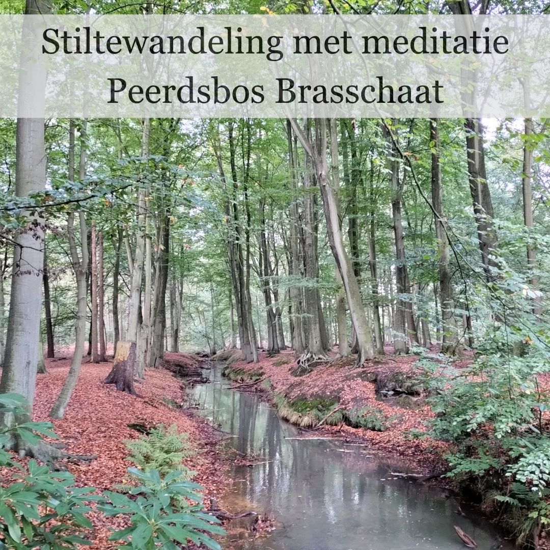 Stiltewandeling Peerdsbos