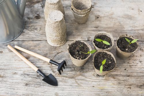 GEMEENTEBESTUUR KNOKKE-HEIST