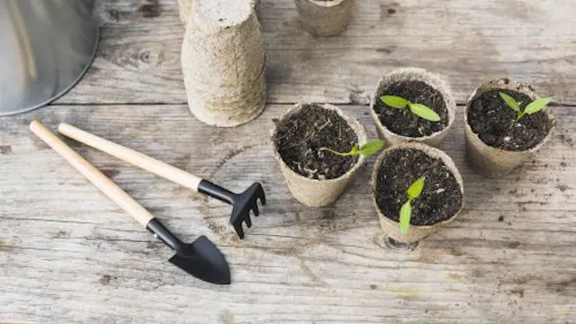 GEMEENTEBESTUUR KNOKKE-HEIST