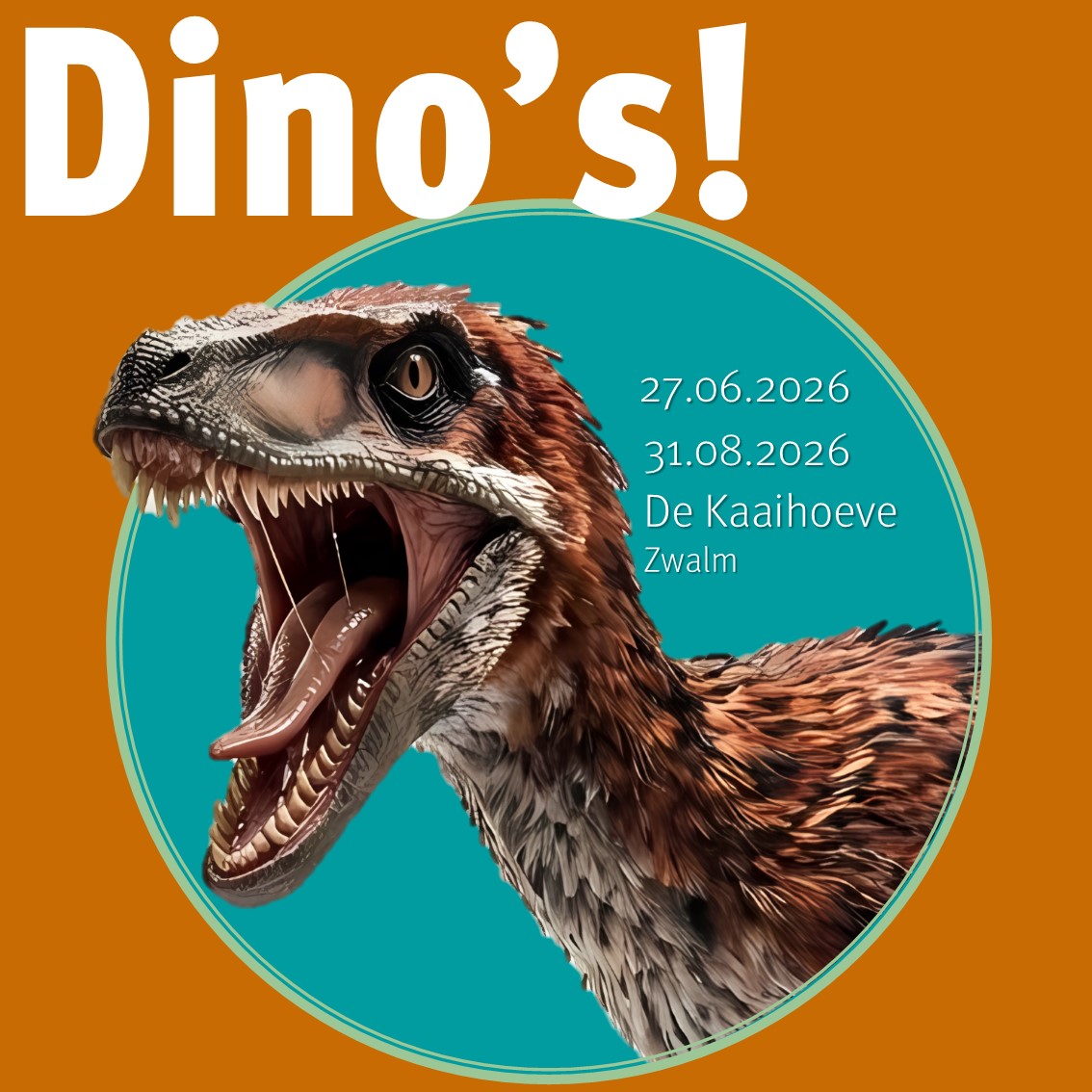 Dino's campagnebeeld