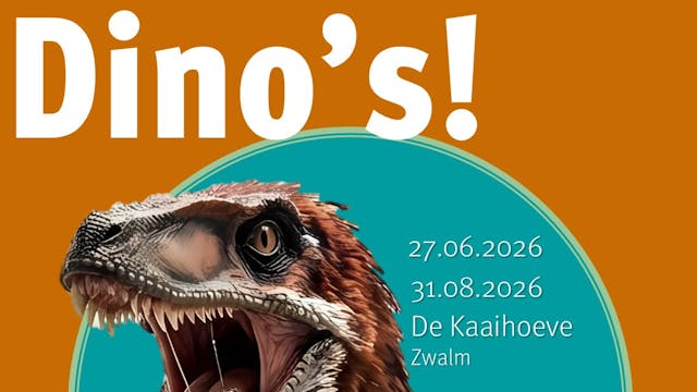 Dino's campagnebeeld