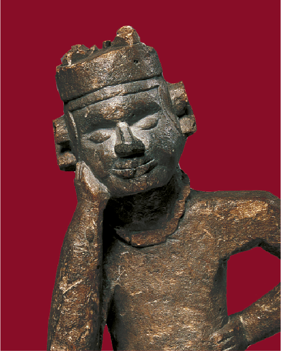 Campagnefoto 100 x MAS