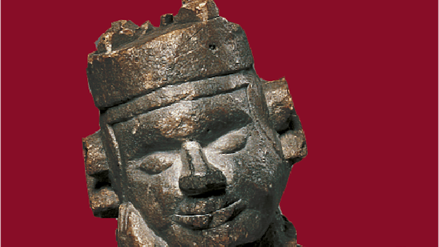 Campagnefoto 100 x MAS