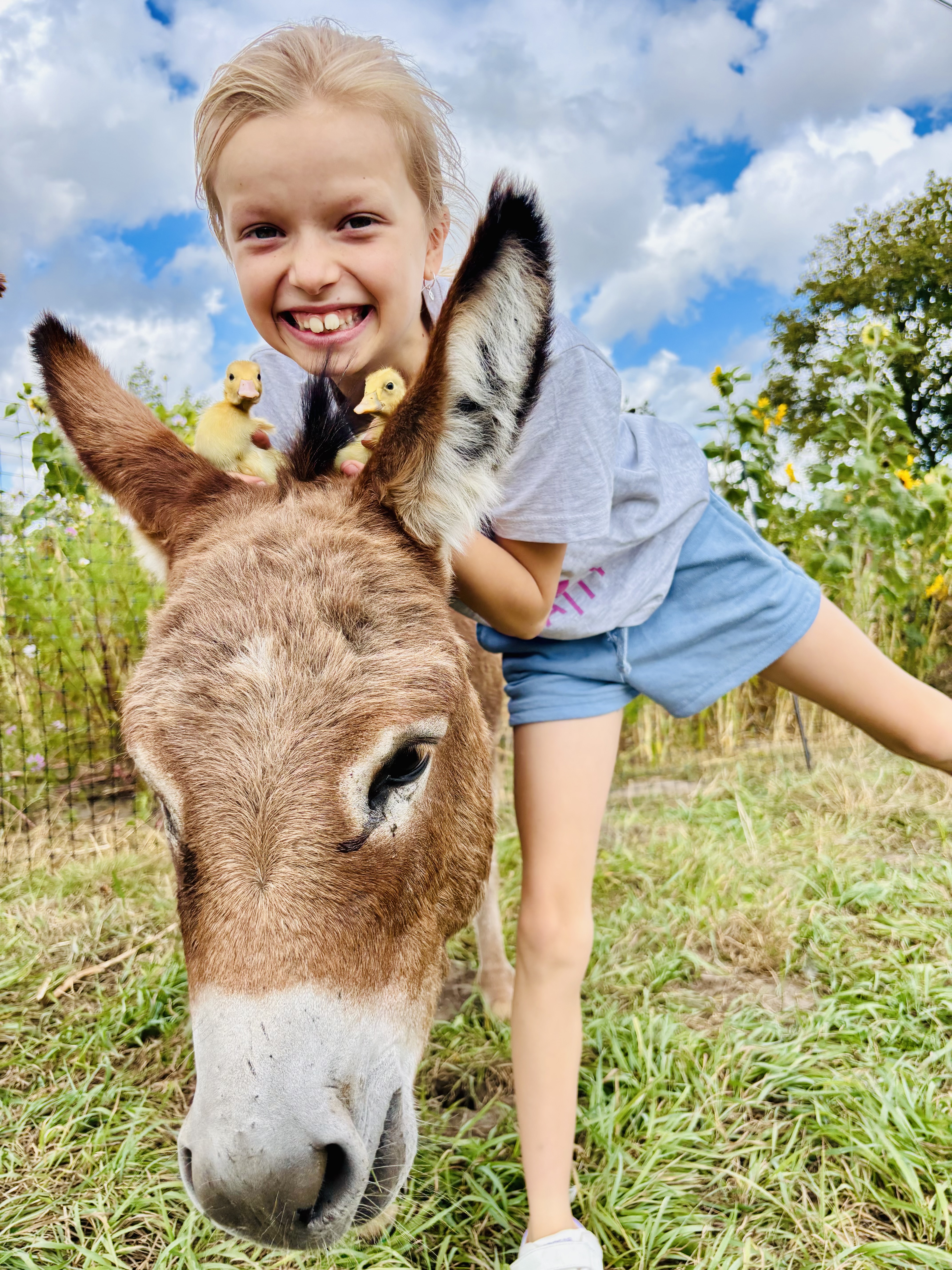 Ezels - eendjes knuffelen Vakantiekampen 2026