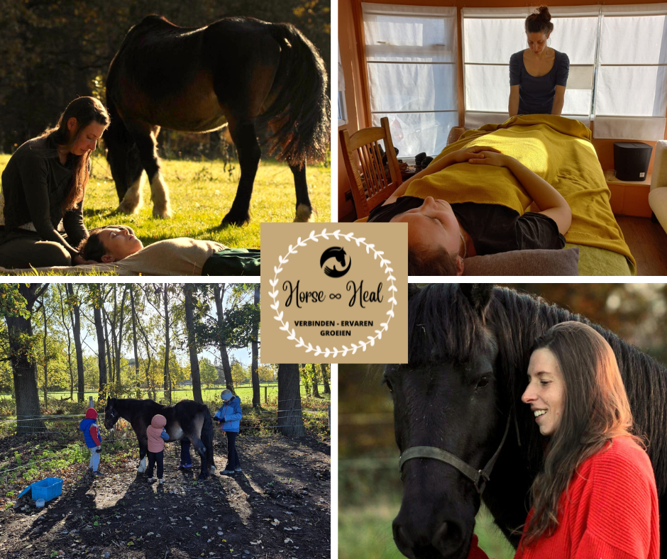 Bij Horse and Heal kan je terecht voor Paardennatuurkampen, paardencoaching, Lichaamstherapie. Voor jong en oud!