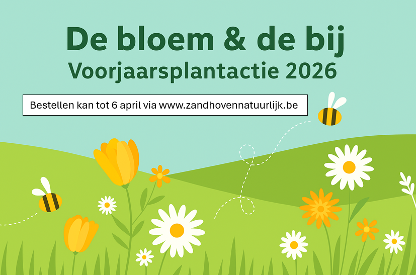 bloem en bij 2026