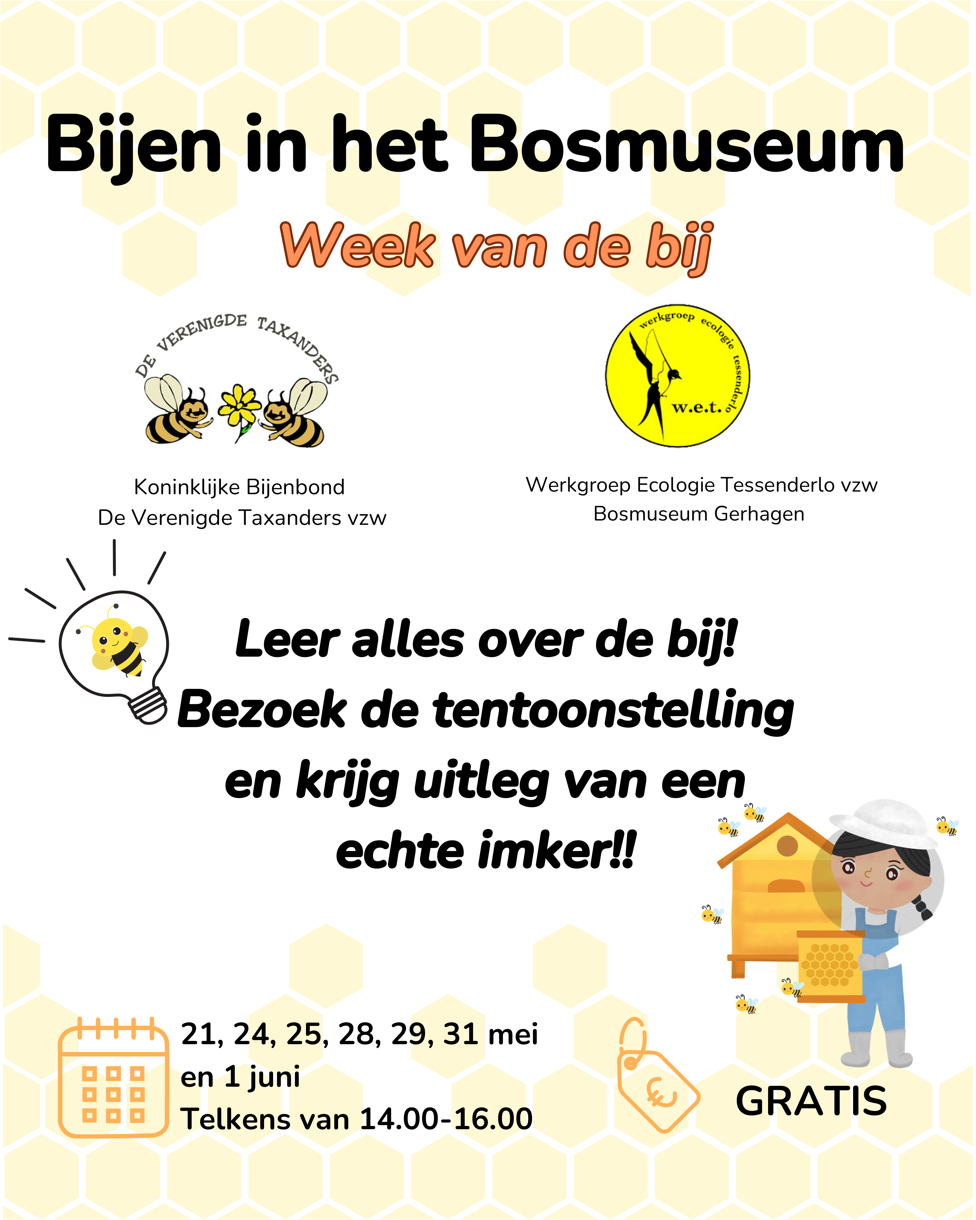 Bijen in het Bosmuseum