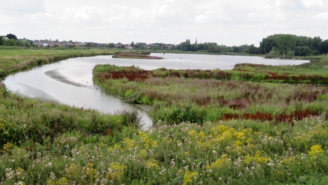 Natuurpunt