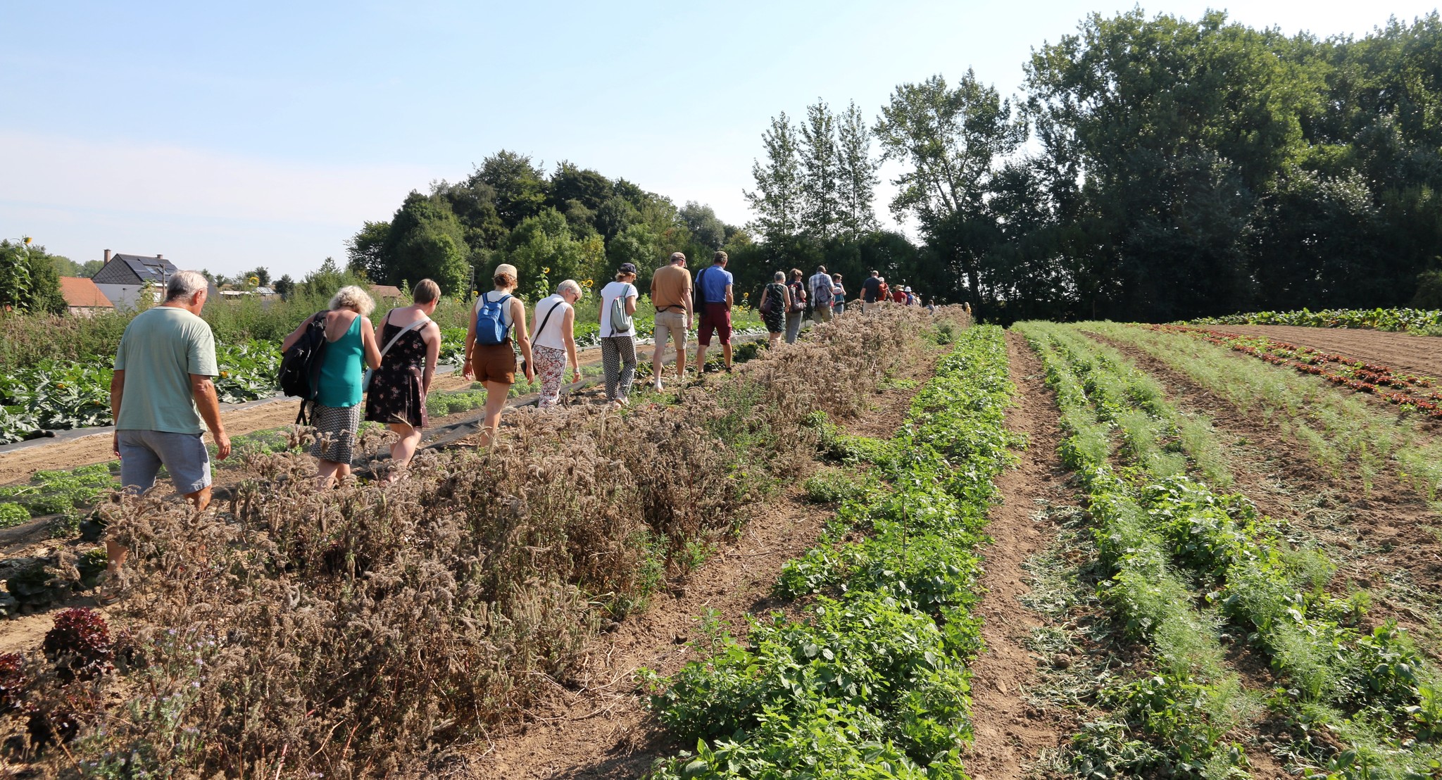 Wandeling domein De Gavers Geraardsbergen