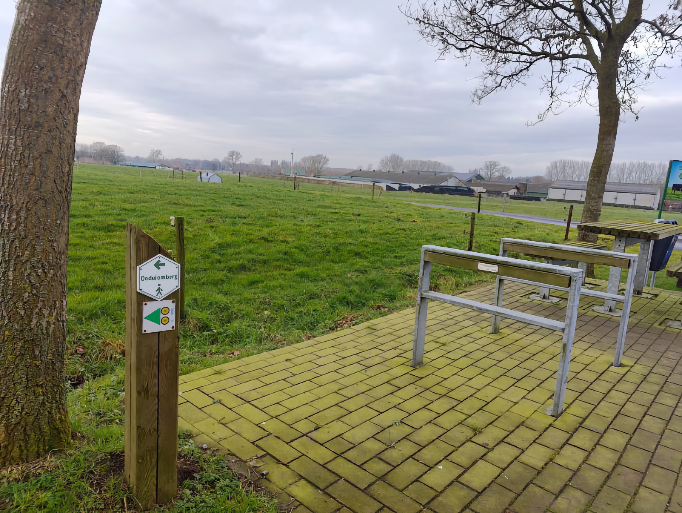 Oedelemberg wandelpad