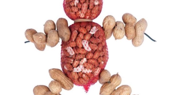 Image for gzbd activity