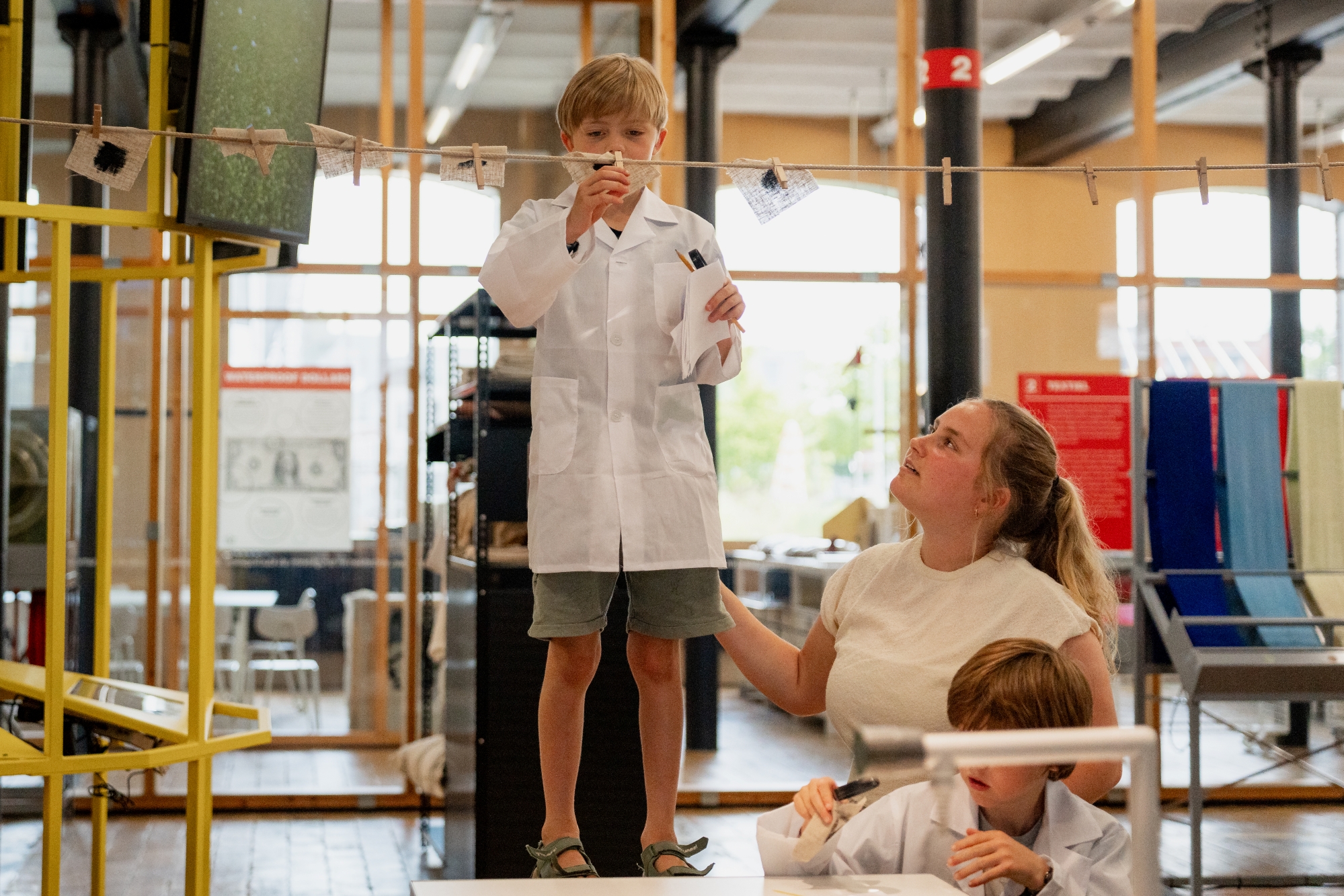 Schatten van Vlieg in museum Texture